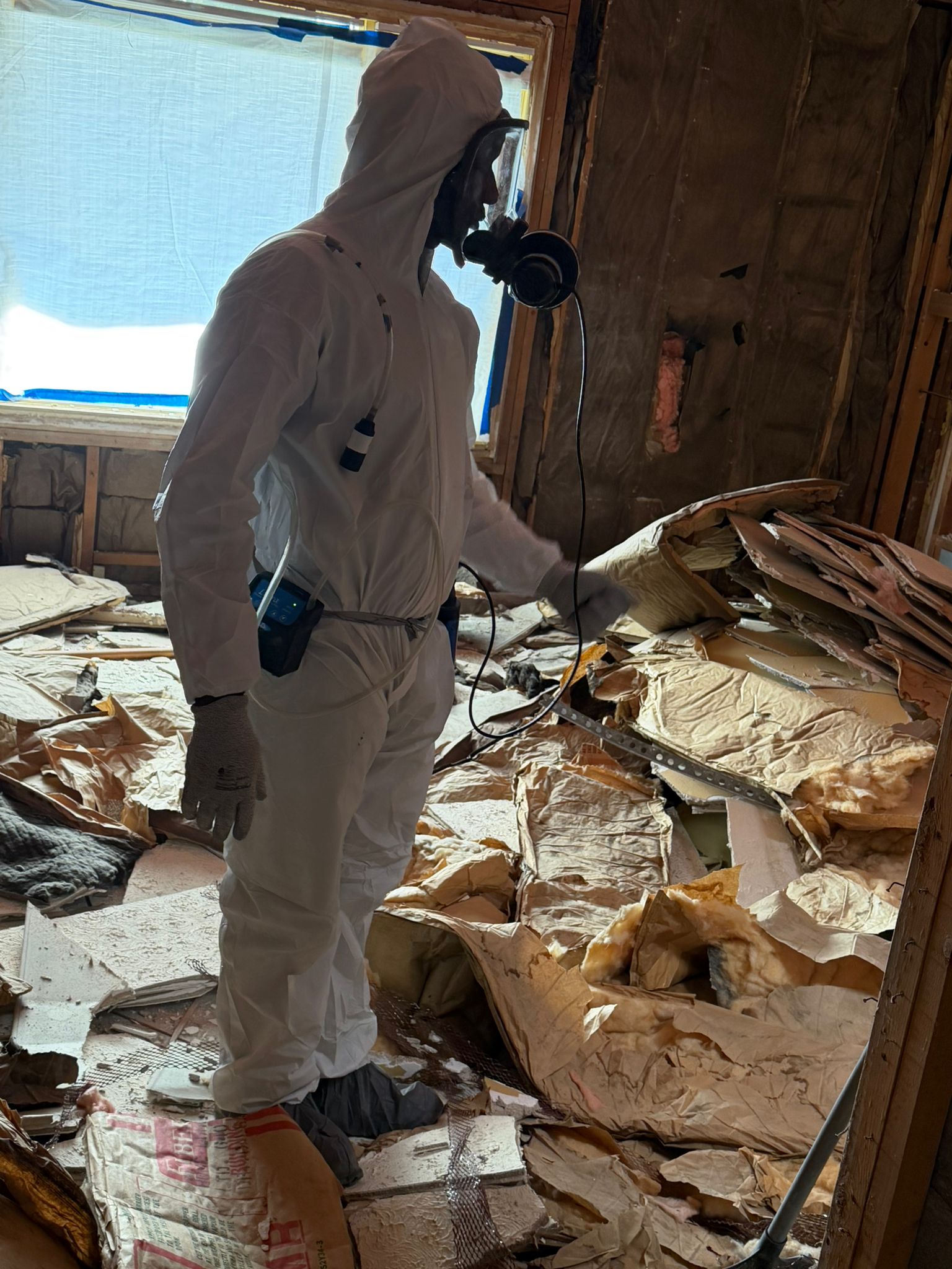 Asbestos abatement in progress